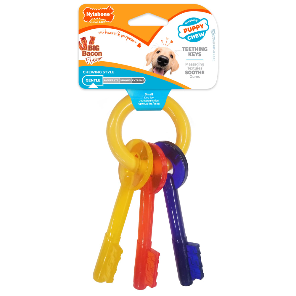 Nylabone puppy teething keys petite size colourful three-key ring bacon flavour