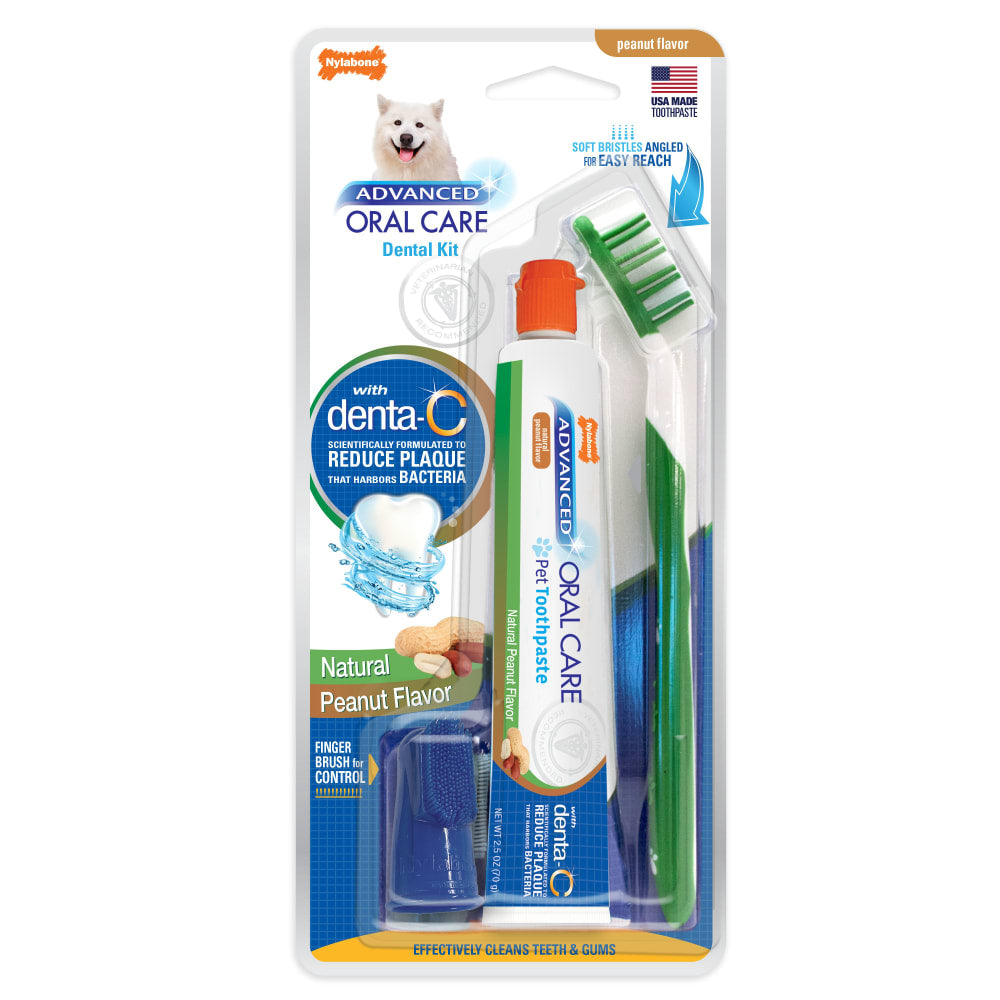 Nylabone Advanced Oral Care Natural Peanut Butter dog dental kit with toothbrush and finger brush