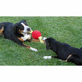 Jolly Pets - Tug X-Large