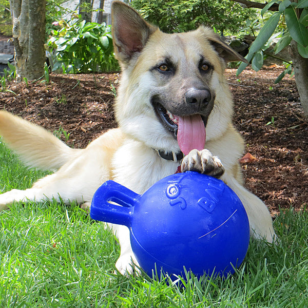 Jolly Pets Tug-N-Toss Ball with Handle - Blue 10"