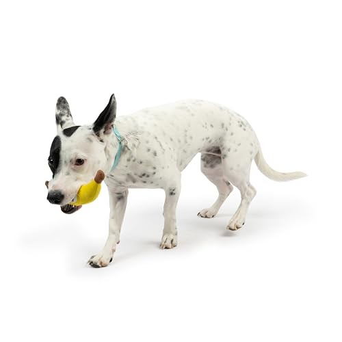 Huxley and Kent Tiny Tuff Bruiser Banana plush squeaker dog toy