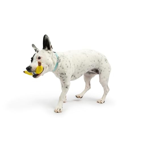 Huxley and Kent Tiny Tuff Bruiser Banana plush squeaker dog toy