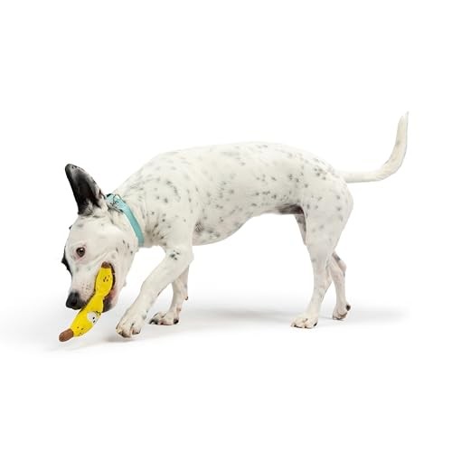 Huxley and Kent Tiny Tuff Bruiser Banana plush squeaker dog toy