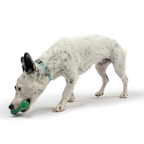 Huxley and Kent Tiny Tuff Dell Pickle plush squeaker dog toy
