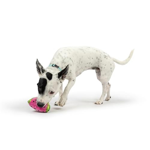 Huxley and Kent Tiny Tuff Walter Melon watermelon plush squeaker dog toy
