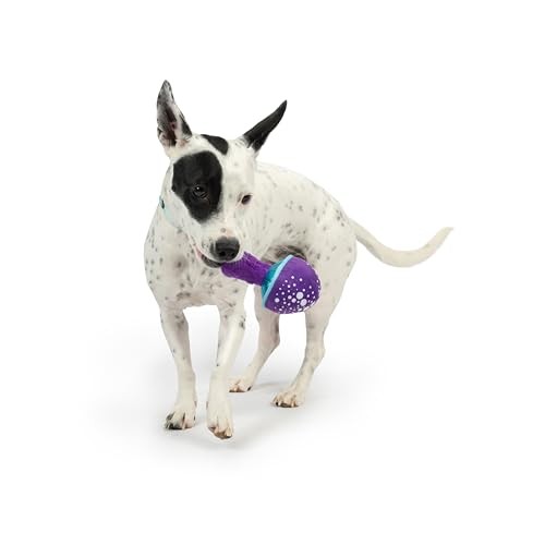 Huxley and Kent Tiny Tuff Mellow Mushroom plush squeaker dog toy