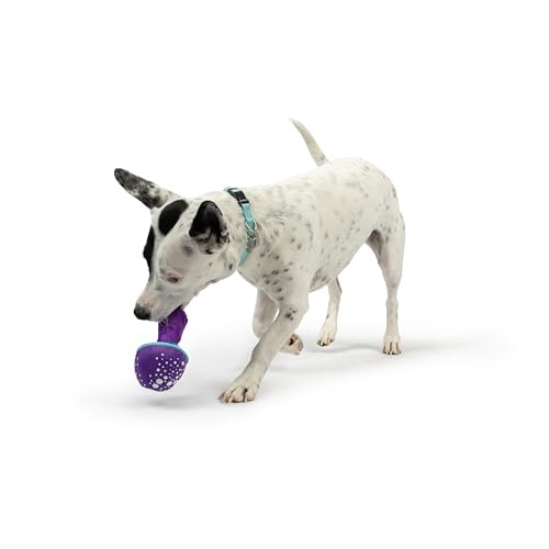 Huxley and Kent Tiny Tuff Mellow Mushroom plush squeaker dog toy