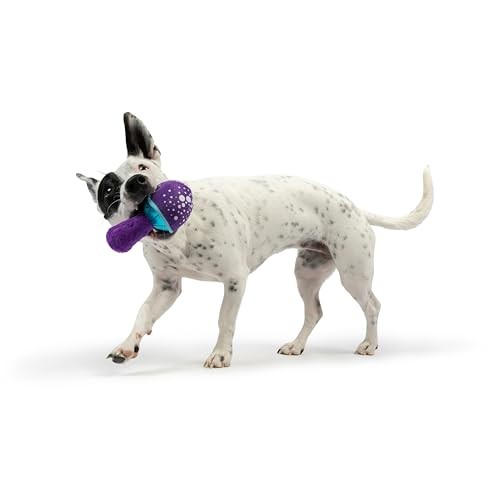 Huxley and Kent Tiny Tuff Mellow Mushroom plush squeaker dog toy