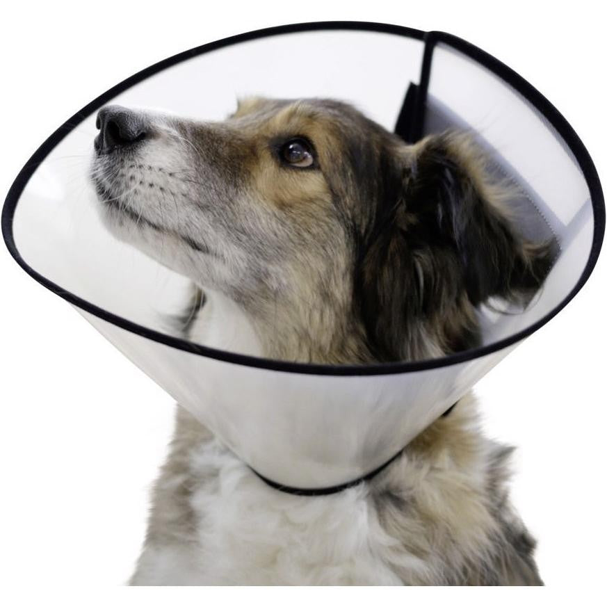 Kerbl Elizabethan E-Collar 30 cm for large dogs with 48–57 cm neck, semitransparent plastic