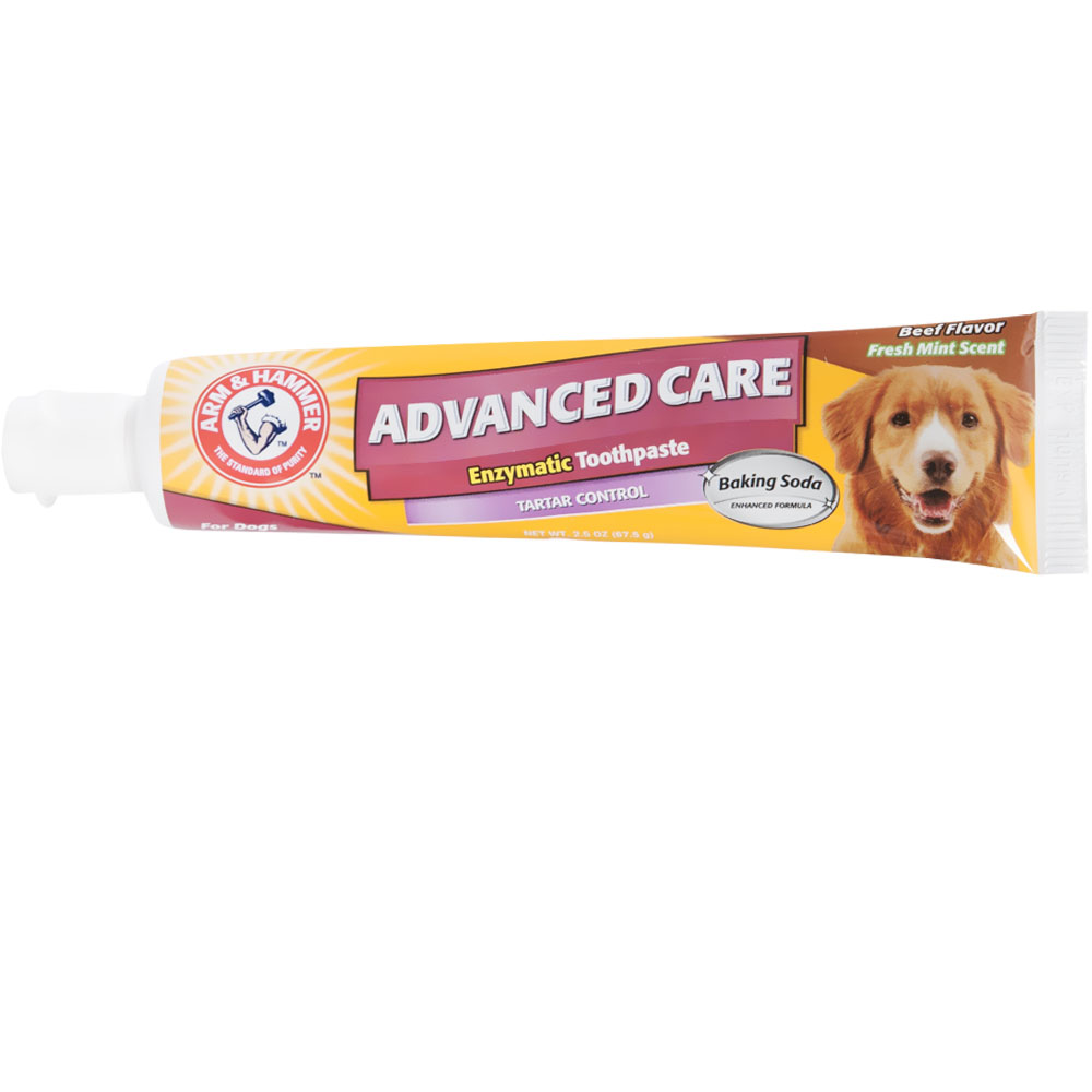 Arm & Hammer Tartar Control Enzymatic Dog Toothpaste beef flavor 2.5 oz tube