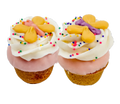 Bosco and Roxy's decorated cupcake dog cookies medium 18 per box