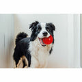 Gnawsome - Squeak & Light Ball 3.5in