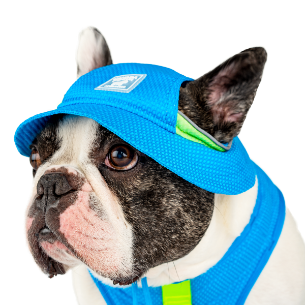 Canada Pooch Chill Seeker Cooling Hat – Blue, Medium