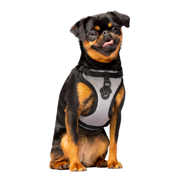 Canada Pooch Core Everything Harness – Mesh Reflective, XL