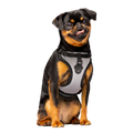 Canada Pooch - Core Everything Harness Mesh Reflective XL