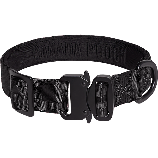 Canada Pooch Core Utility Collar – Black Camo (Medium)