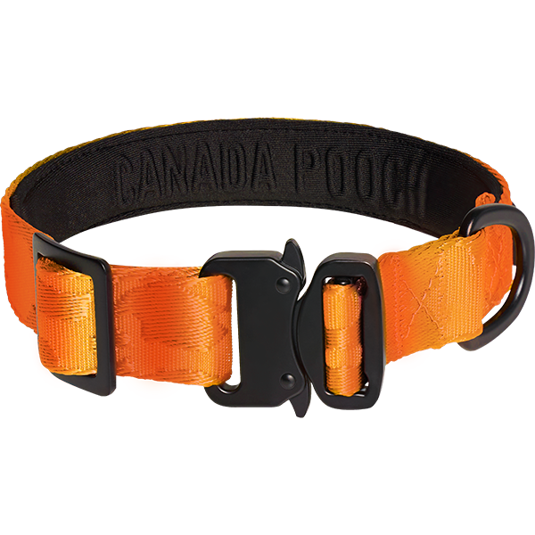 Canada Pooch Core Utility Collar – Orange Camo (Small)