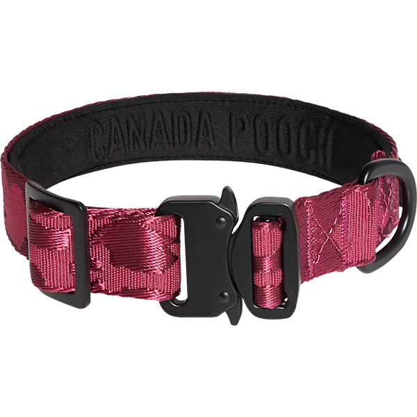 Canada Pooch Core Utility Collar – Plum Camo, Medium