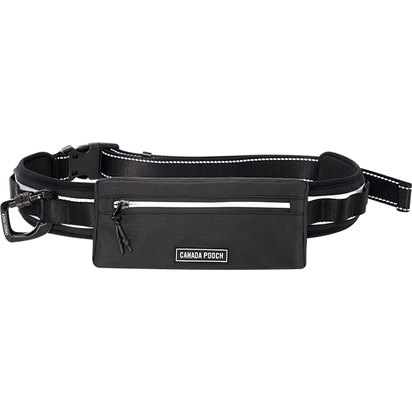 Canada Pooch Core Hands-Free Dog Walking Utility Belt – Black (One Size)