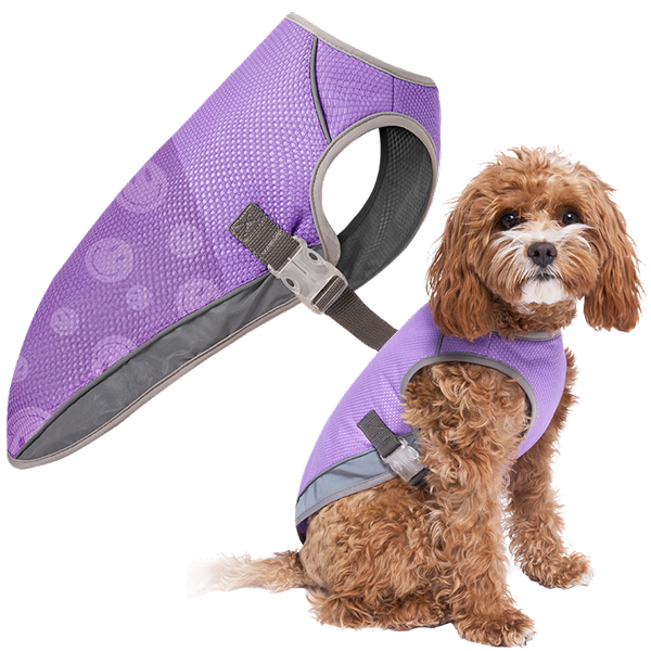 Canada Pooch Chill Seeker Cooling Vest – Wet Reveal Purple Smiley, Size 18