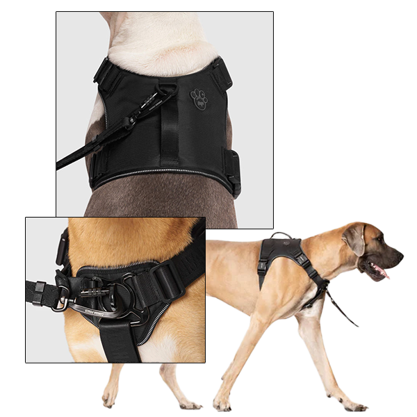 Canada Pooch Complete Control Harness – Black, XXL
