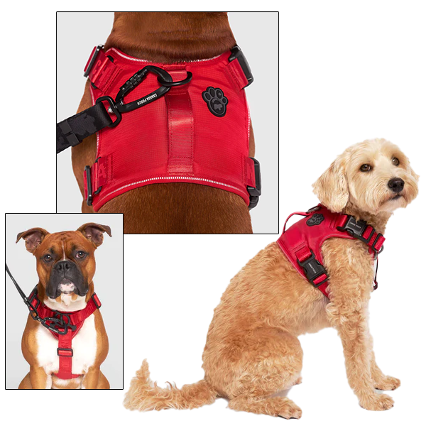 Canada Pooch Complete Control Harness – Red, Medium