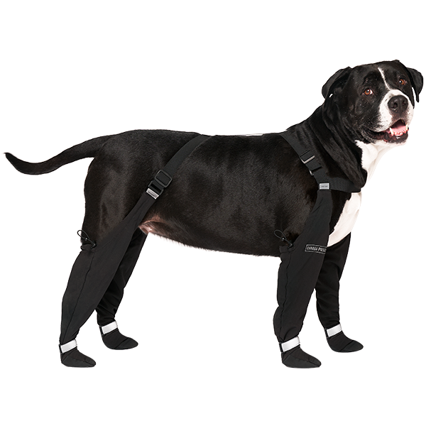Canada Pooch Suspender Boots — Black, Size 1, Regular