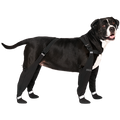 Canada Pooch - Suspender Boots Black Size 4 Short
