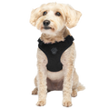 Canada Pooch - Core Easy-On Step-In Harness Black Medium
