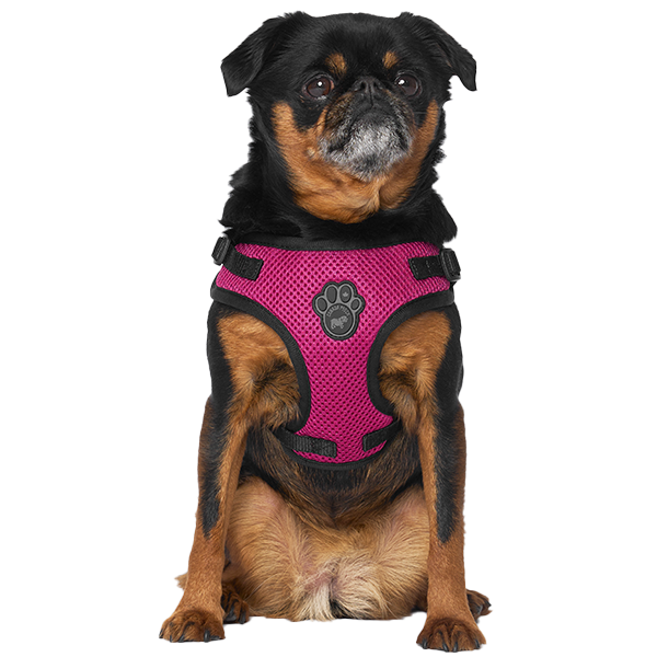 Canada Pooch Core Easy-On Step-In Harness – Plum, X-Small
