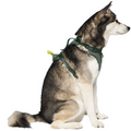 Canada Pooch - Core Everything Harness w/Poop Bag Dispenser Green XL