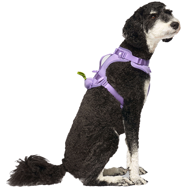 Canada Pooch Core Everything Harness with Poop Bag Dispenser Lavender – M