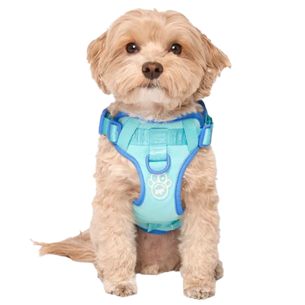 Canada Pooch - Max Chill Cooling Harness Blue Small