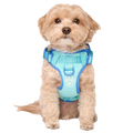 Canada Pooch - Max Chill Cooling Harness Blue Large