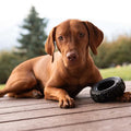 Spunky Pup - Tire Reclaimed Rubber Chew Toy Large