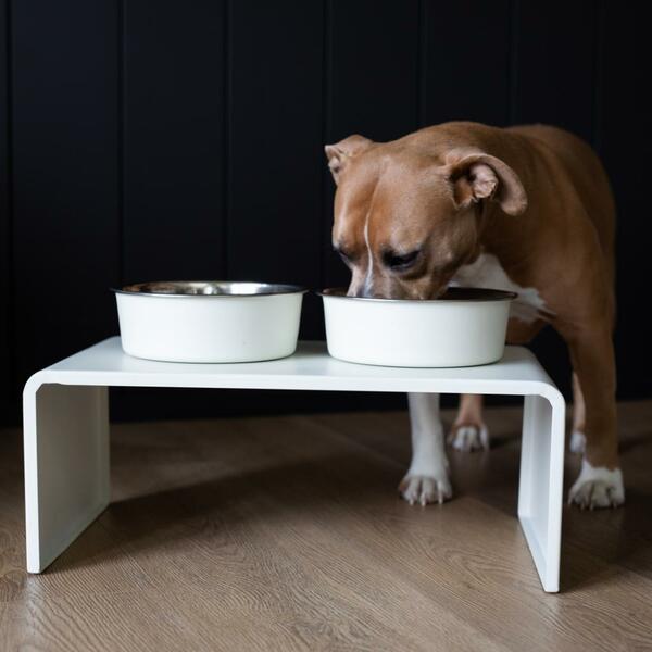 Unleashed Raised Magnetic Diner with Bowls