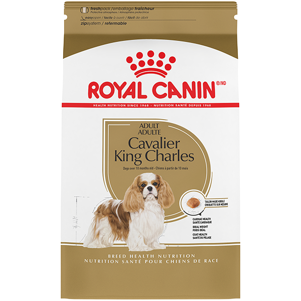 Royal Canin Breed Health Nutrition Cavalier King Charles Spaniel Adult Dry Dog Food 4.5 kg