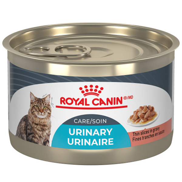 Royal Canin Feline Urinary Care Thin Slices in Gravy 24 x 145g