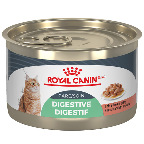 Royal Canin Feline Digestive Care Thin Slices in Gravy 24 x 145g