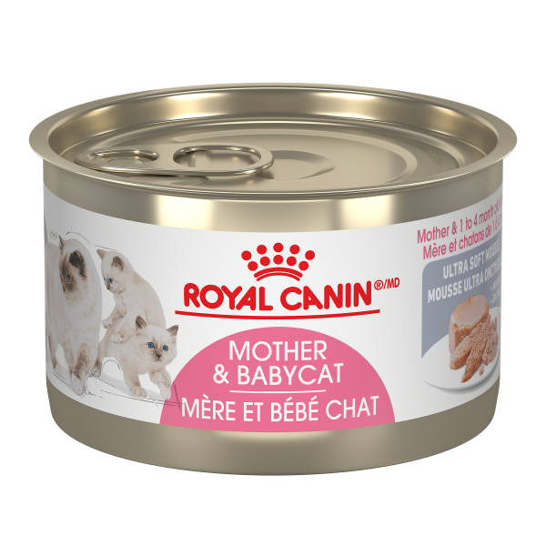 Royal Canin Feline Health Nutrition Babycat Instinctive Mousse 24/5.1oz (145g)