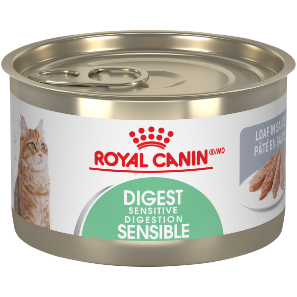 Royal Canin Feline Care Nutrition Digestive Care Loaf 24/145g