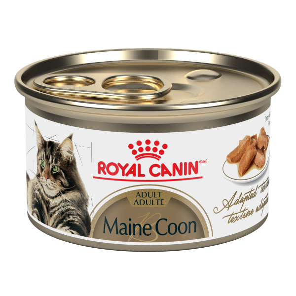 Royal Canin Breed Health Nutrition Maine Coon Thin Slices in Gravy 24/85g