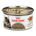 Royal Canin - FBN Maine Coon 24/85 gm
