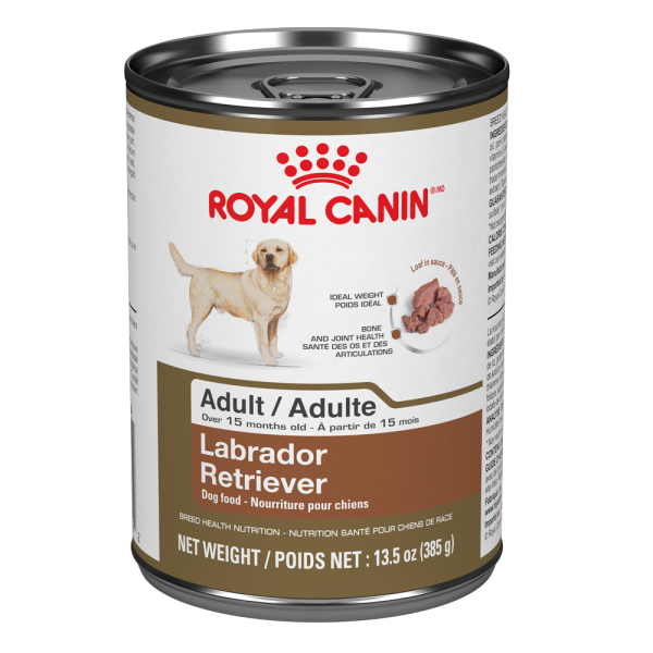 Royal Canin Breed Health Nutrition Labrador Retriever Loaf in Sauce Wet Dog Food 385 g (Case of 12)