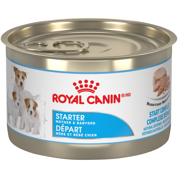 Royal Canin Starter Mother & Babydog Ultra Soft Mousse 24/5.1 oz (145g)