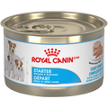 Royal Canin - SHN Starter Mousse 24/5.1oz/145g