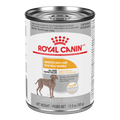 Royal Canin - CCN Sensitive Skin Care Loaf 12/385 g