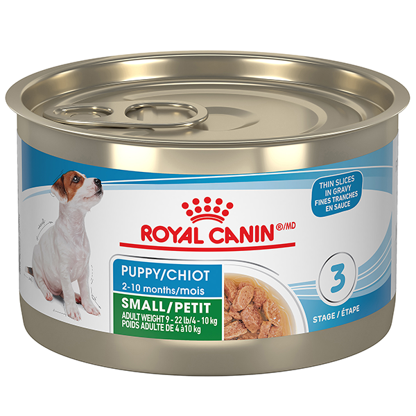 Royal Canin Small Breed Puppy Thin Slices in Gravy 24/145g