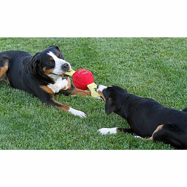 Jolly Pets Tug Large