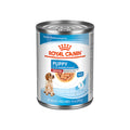 Royal Canin Medium Puppy Slices in Gravy wet dog food 13 oz can